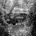 ladies_of_the_lowlands_mudbood_sessions_marcel_krijgsman00003