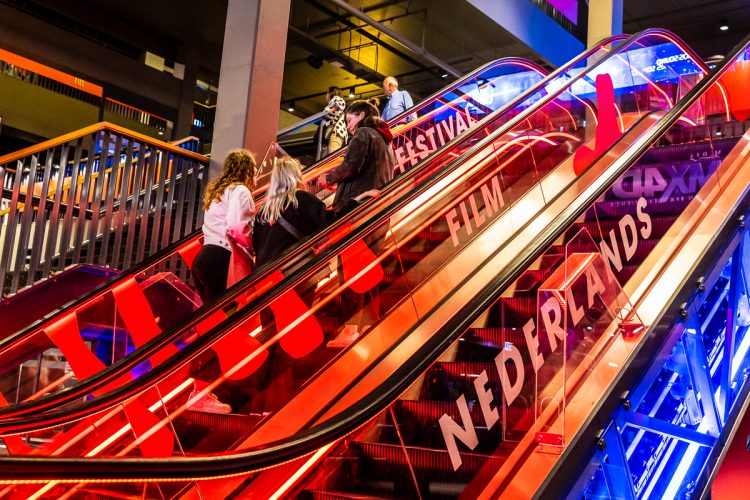 Nederlands Film Festival
