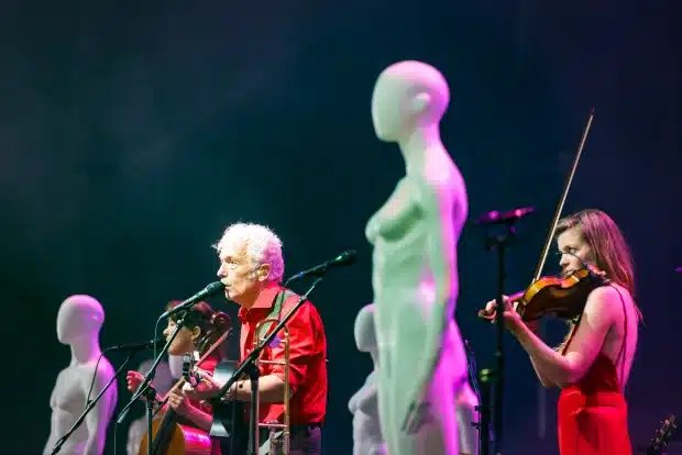 Spinvis op het Lowlands festival