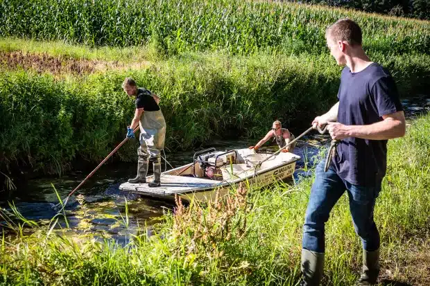 Overzetten vissen i.v.m. droogte