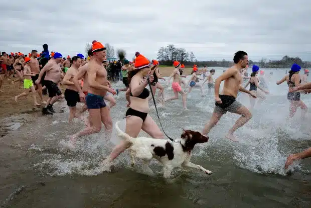 Nieuwjaarsduik Arnhem
